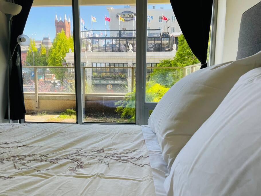 Spacious Downtown 2 Bedroom Condo With Pool And Air Conditioning Victoria Extérieur photo