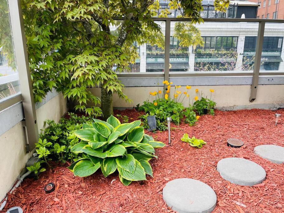 Spacious Downtown 2 Bedroom Condo With Pool And Air Conditioning Victoria Extérieur photo